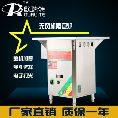 无风机商用燃气蒸炉节能蒸汽炉肠粉机